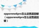 opporeno6pro怎么设置返回键（opporeno6pro怎么设置返回键）