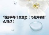 乌拉草有什么意思（乌拉草有什么特点）