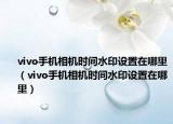 vivo手机相机时间水印设置在哪里（vivo手机相机时间水印设置在哪里）