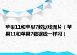 苹果11和苹果7数据线图片（苹果11和苹果7数据线一样吗）