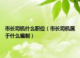 市长司机什么职位（市长司机属于什么编制）