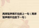 两岸猿声啼不住的上一句（两岸猿声啼不住的下一句）