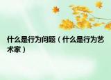 什么是行为问题（什么是行为艺术家）