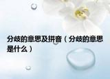 分歧的意思及拼音（分歧的意思是什么）