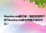 thumbs.ms删不掉（我的优盘有个叫Thumbs,ms的文件删不掉为什么）