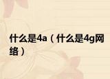 什么是4a（什么是4g网络）