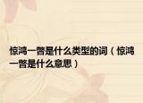 惊鸿一瞥是什么类型的词（惊鸿一瞥是什么意思）