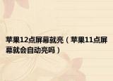 苹果12点屏幕就亮（苹果11点屏幕就会自动亮吗）