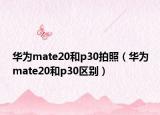 华为mate20和p30拍照（华为mate20和p30区别）
