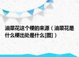 油菜花这个梗的来源（油菜花是什么梗出处是什么[图]）