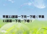苹果11屏幕一下亮一下暗（苹果11屏幕一下亮一下暗）