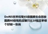 Dnf65世界将军65级图腾生命怒放图腾60级残酷战镰只比10强蓝拳哪个好刷一张画