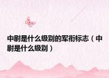 中尉是什么级别的军衔标志（中尉是什么级别）