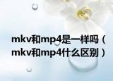 mkv和mp4是一样吗（mkv和mp4什么区别）