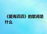 《爱海滔滔》的歌词是什么
