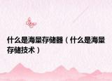什么是海量存储器（什么是海量存储技术）