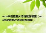 wps中设置图片透明度在哪里（wps中设置图片透明度在哪里）