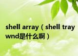 shell array（shell traywnd是什么啊）