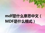 mdf是什么意思中文（MDF是什么格式）