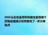 DNF头衔皇室尊称和御龙至尊哪个好我是魔道已经有御龙了~求大神指点