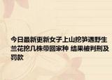 今日最新更新女子上山挖笋遇野生兰花挖几株带回家种 结果被判刑及罚款