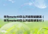 华为mate40怎么开启智能翻盖（华为mate40怎么开启智感支付）