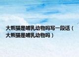 大熊猫是哺乳动物吗写一段话（大熊猫是哺乳动物吗）