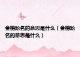 金榜题名的意思是什么（金榜题名的意思是什么）