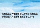 我的电脑文件隐藏不显示设置（我的电脑中的隐藏文件显示不出来了怎么办?）