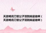 天涯明月刀里公子羽到底是谁啊（天涯明月刀里公子羽到底是谁啊）