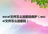 excel文件怎么加密码保护（excel文件怎么加密码）