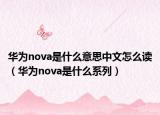 华为nova是什么意思中文怎么读（华为nova是什么系列）