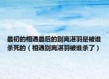 最初的相遇最后的别离湛羽是被谁杀死的（相遇别离湛羽被谁杀了）