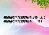 老鼠钻进风箱里歇后语比喻什么（老鼠钻进风箱里歇后语下一句）