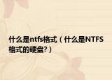 什么是ntfs格式（什么是NTFS格式的硬盘?）