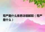 尊严是什么意思详细解释（尊严是什么）