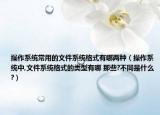 操作系统常用的文件系统格式有哪两种（操作系统中,文件系统格式的类型有哪 那些?不同是什么?）