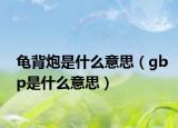 龟背炮是什么意思（gbp是什么意思）