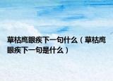 草枯鹰眼疾下一句什么（草枯鹰眼疾下一句是什么）