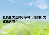 如何扩大虚拟机字体（如何扩大虚拟内存）