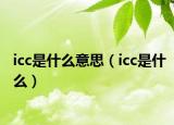 icc是什么意思（icc是什么）