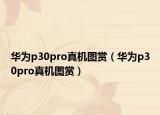 华为p30pro真机图赏（华为p30pro真机图赏）
