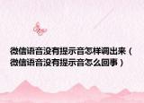 微信语音没有提示音怎样调出来（微信语音没有提示音怎么回事）
