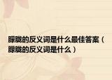 朦胧的反义词是什么最佳答案（朦胧的反义词是什么）