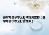 赛尔号雷伊怎么打败哈莫雷特（赛尔号雷伊怎么打雷纳多）