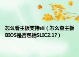 怎么看主板支持sli（怎么查主板BIOS是否包括SLIC2.1?）