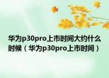华为p30pro上市时间大约什么时候（华为p30pro上市时间）