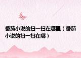 番茄小说的扫一扫在哪里（番茄小说的扫一扫在哪）