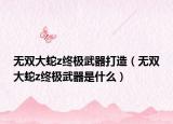 无双大蛇z终极武器打造（无双大蛇z终极武器是什么）