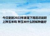今日更新2022年夏至下雨后还能赶上种玉米吗 种玉米什么时候种最好